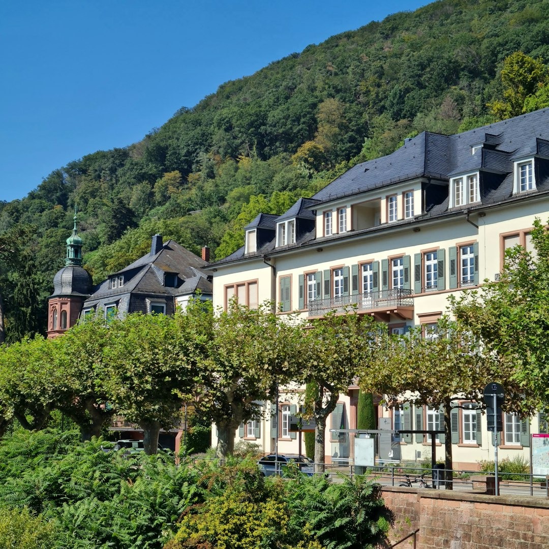 a row of houses on the side of a mountain